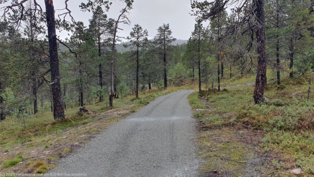 rollstuhlgaengiger wanderweg im anderdalen nationalpark