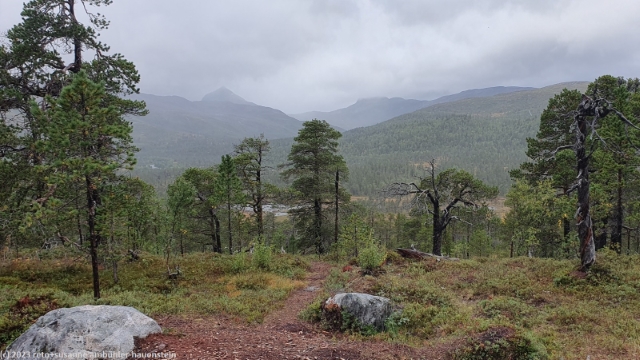 ausblick vom utkikkdpunkt im anderdalen nationalpark