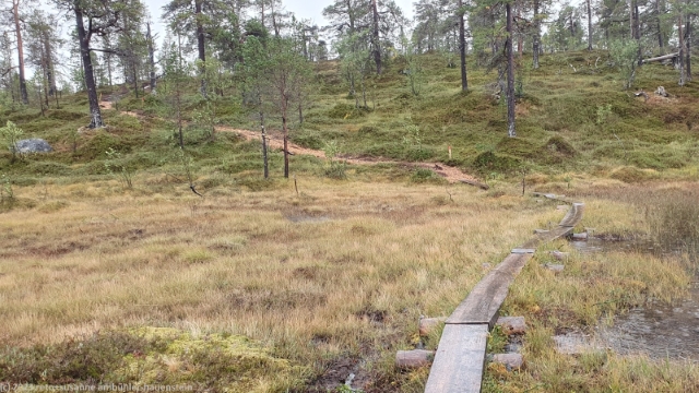 wandersteg im anderdalen nationalpark