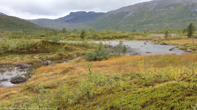 andervatnet im anderdalen nationalpark