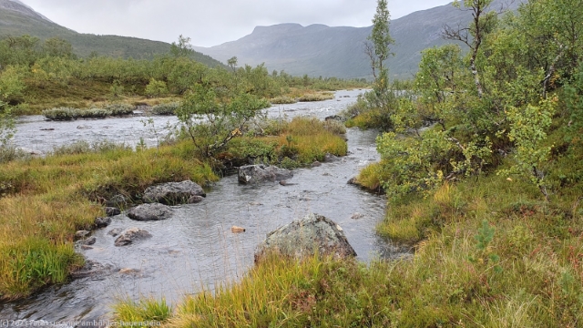 anderelva im anderdalen nationalpark