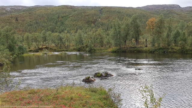 anderelva im anderdalen nationalpark