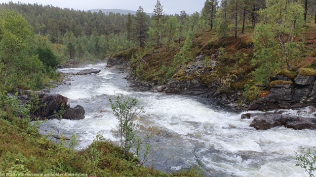 anderelva im anderdalen nationalpark