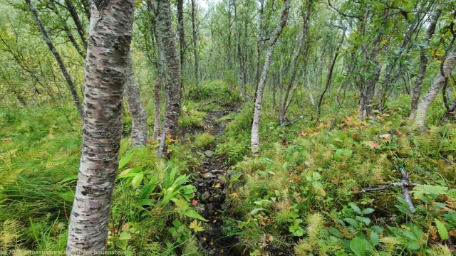 schmaler und abschuessiger wanderweg vom storsteinen richtung tromso