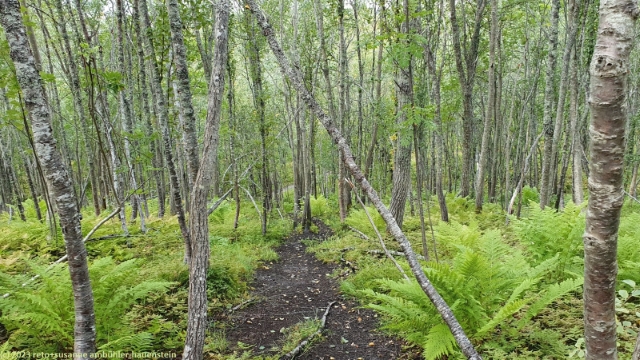 wanderweg vom storsteinen richtung tromso