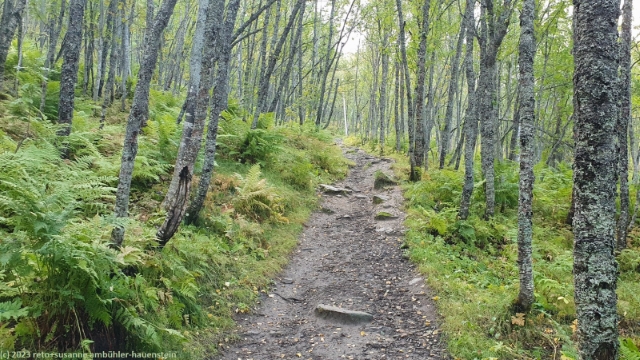wanderweg vom storsteinen richtung tromso