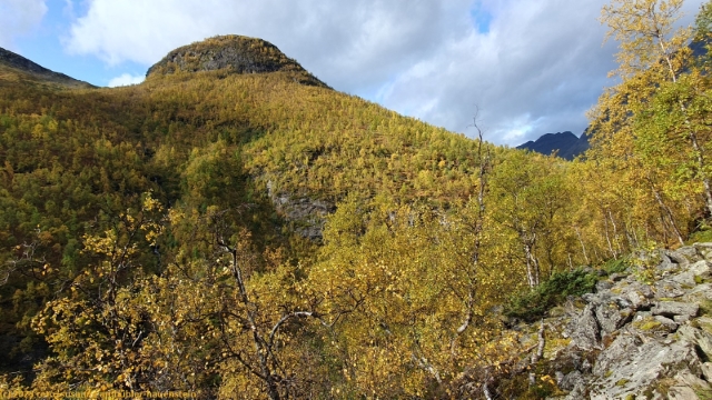 blick vom steindalen auf den rundtinden