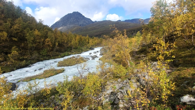 geailu im steindalen