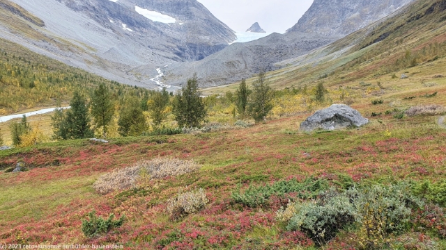 herbstlicher talboden im steindalen mit steindalsbreen im hintergrund