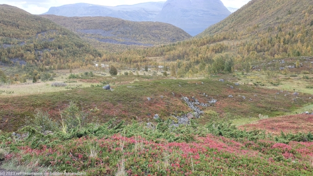 steindalen