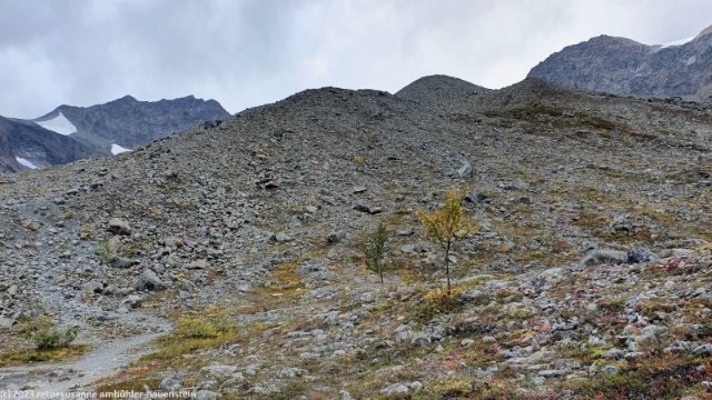 endmoraene des steindalsbreen im steindalen