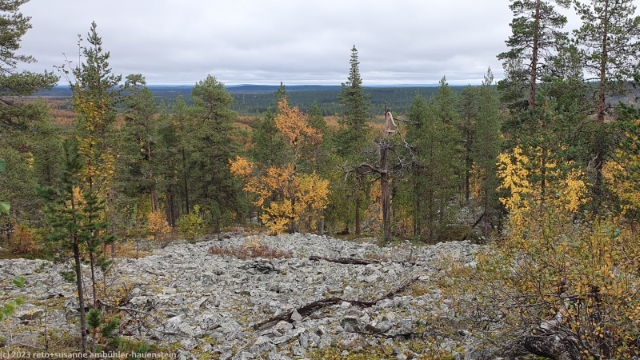 ausblick von der flanke des taalovaara im nordosten des levi