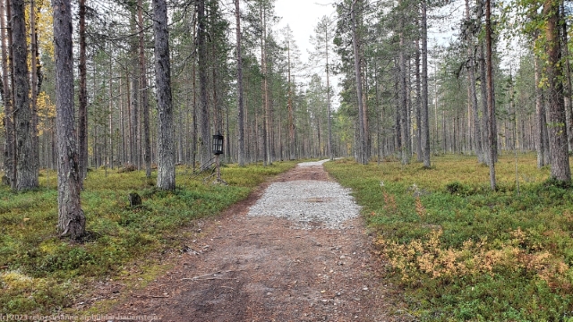 wanderweg richtung utsuvaara auf der ostflanke des levi