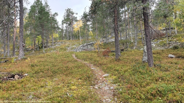 wanderweg bei utsuvaara auf der ostflanke des levi
