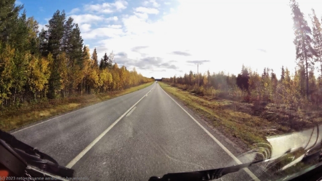 strasse 80 durch herbstlichen wald