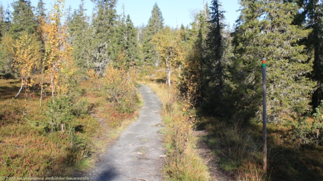 wanderweg richtung riisitunturi im riisitunturin nationalpark
