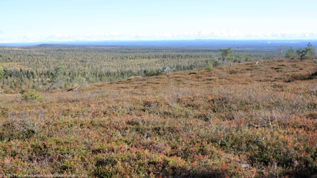 blick vom riisitunturi im riisitunturin nationalpark richtung westwaerts