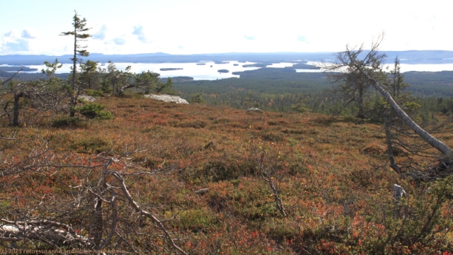 blick vom riisitunturi im riisitunturin nationalpark ostwaerts auf den yli-kitka