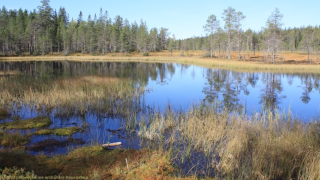 uudensuonlampi bei der uusilampi schutzhuette im riisitunturin nationalpark