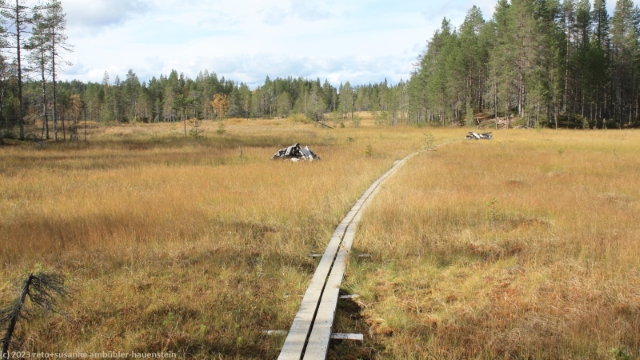wandersteg durch den uusisuo im riisitunturin nationalpark