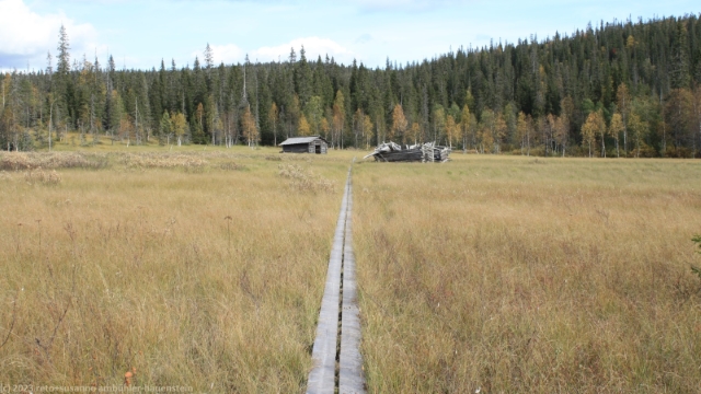 wandersteg durch den riisisuo im riisitunturin nationalpark