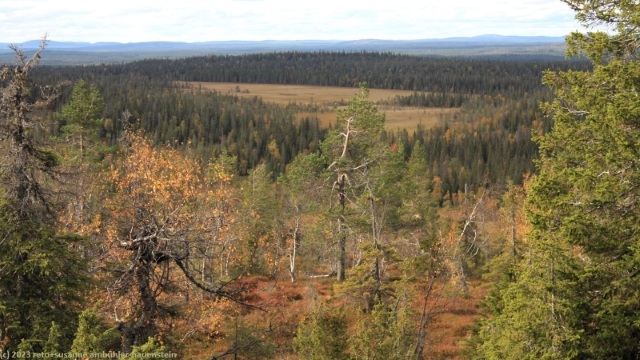 aussicht waehrend dem aufstieg zum pikku riisitunturi im riisitunturin nationalpark