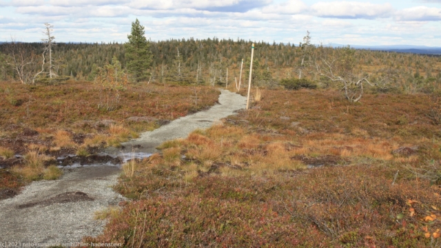 wanderweg auf dem pikku riisitunturi im riisitunturin nationalpark