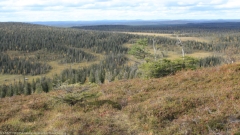 aussicht vom pikku riisitunturi im riisitunturin nationalpark