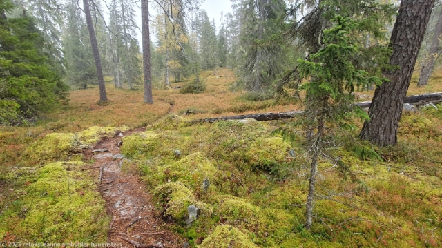 riisitunturin reitti am fuss des kuoppavaara