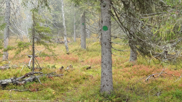 wanderweg kirinmatala auf dem matalavaara