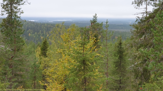 aussicht vom kuoppavaara