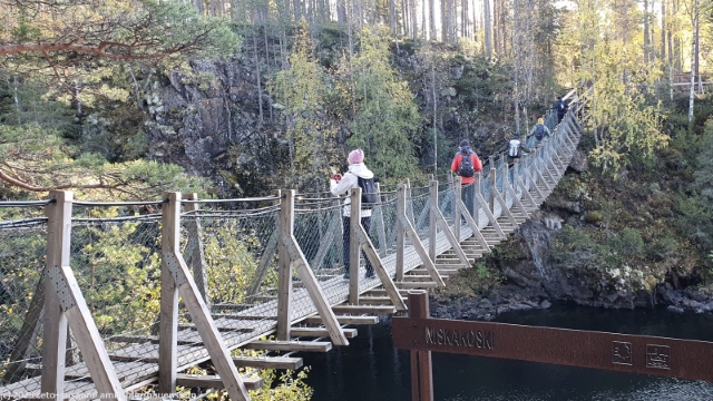 haengebruecke ueber den niskakoski im oulanka nationalpark