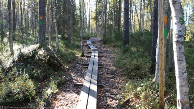 wandersteg bei pessanvaara im oulanka nationalpark