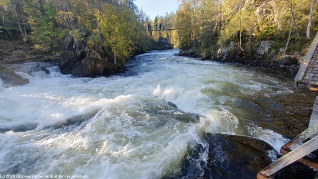 myllykoski im kitkajoki im oulanka nationalpark