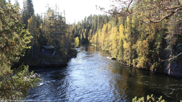 myllykoski im kitkajoki im oulanka nationalpark