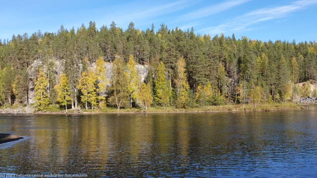 blick ueber den kitkajoki im oulanka nationalpark