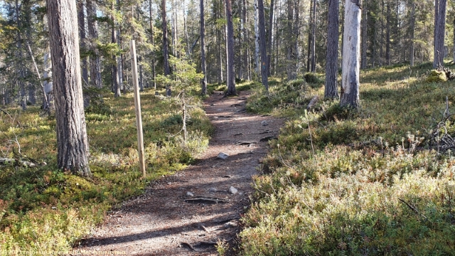 pieni karhunkierros im oulanka nationalpark
