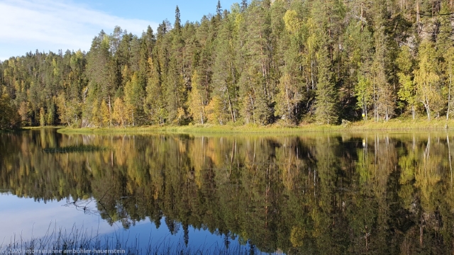 blick ber den kitkajoki im oulanka nationalpark