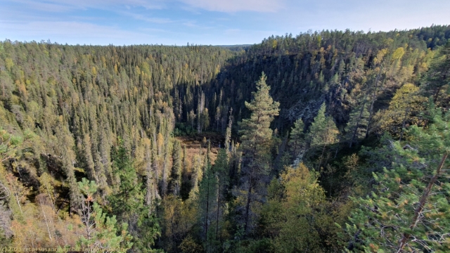 aussicht vom kallioportti im oulanka nationalpark