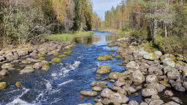 kleiner fluss im oulanka nationalpark