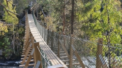haengebruecke ueber den niskakoski im oulanka nationalpark