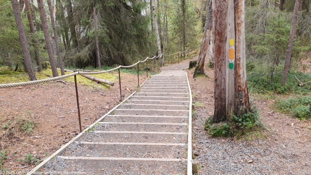treppe im verlauf des karhunkierros im oulanka nationalpark