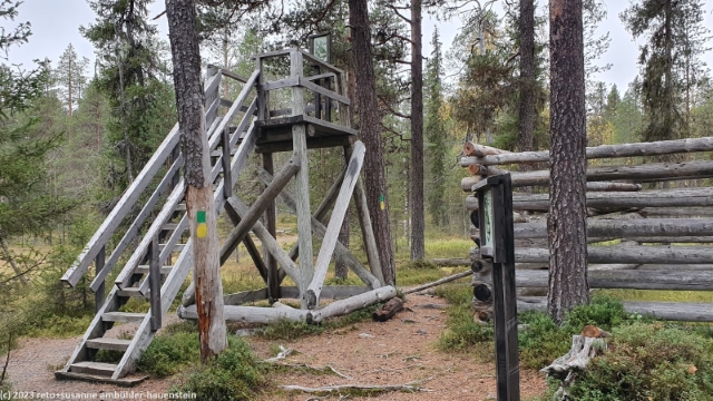 traditionelle rentierzaehlanlage im oulanka nationalpark
