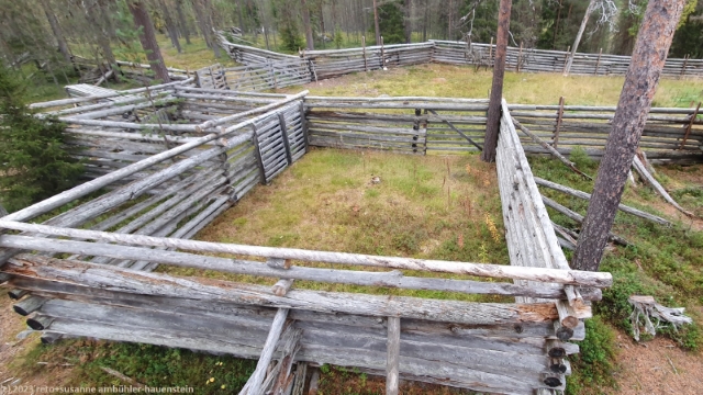 traditionelle rentierzaehlanlage im oulanka nationalpark