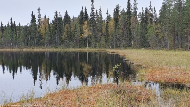ylimmaeinen hiidenlampi im oulanka nationalpark