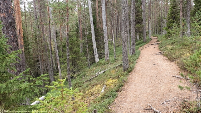 koenkaeaen keino im oulanka nationalpark