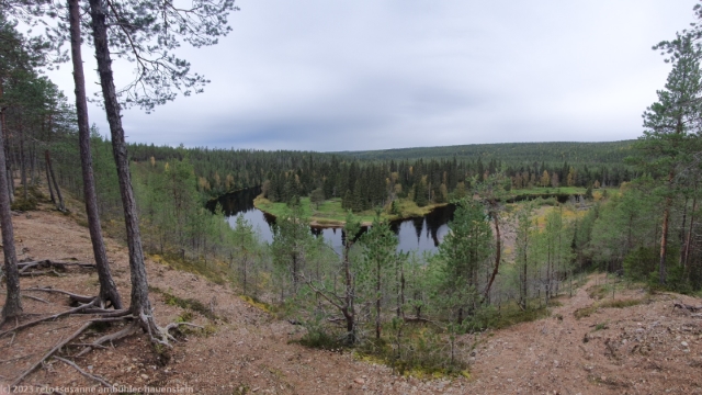 blick vom koenkaeaen keino auf den oulankajoki im oulanka nationalpark