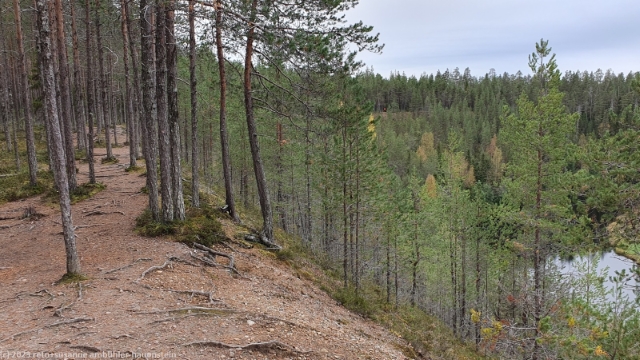 koenkaeaen keino entlang des oulankajoki im oulanka nationalpark