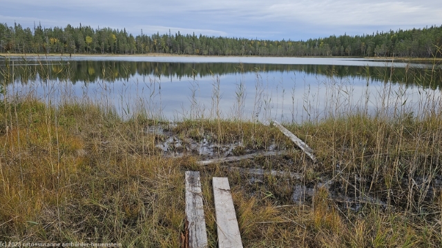 rytilampi im oulanka nationalpark