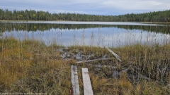 rytilampi im oulanka nationalpark